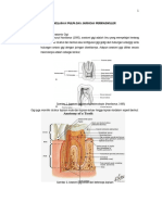 Ad-1 SLR Kelainan Pulpa Dan Jaringan Periradikuler