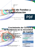 Fuentes de Fondeo y Capitalizacion v5