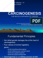 Carcinogenesis: Robbins Basic Pathology, 7 Kumar, Cotran, Robbins