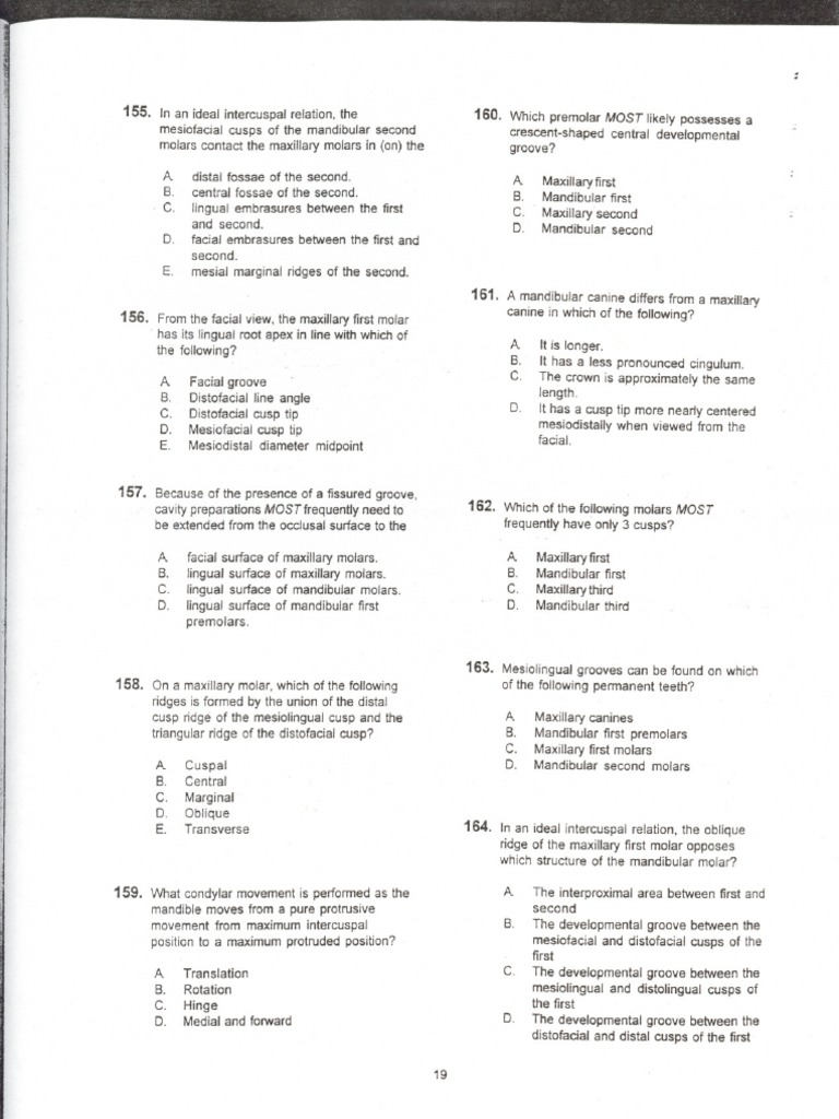 Dentist MCQ Tooth Dentistry