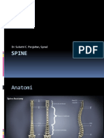 Spine PDF