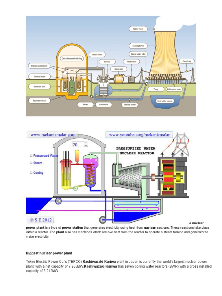 Nuclear Power Plant | PDF | Nuclear Power Plant | Power Station