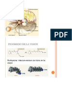 Visión Esteoscópica y Esterofotografía