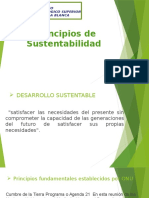 Principios de Desarrollo Sustentable