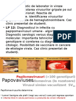 3 virusologie lp AM.pptx