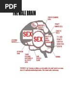Download Why Some Women Have Male Brainsand Love Danger Sex and Sports by Jed Diamond SN31609983 doc pdf