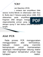 PCR (Polymerase Chain Reaction)