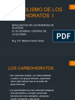 Metabolismo de Los Carbohidratos