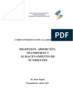 Digestion, Absorcion, Transporte y Almacenamiento