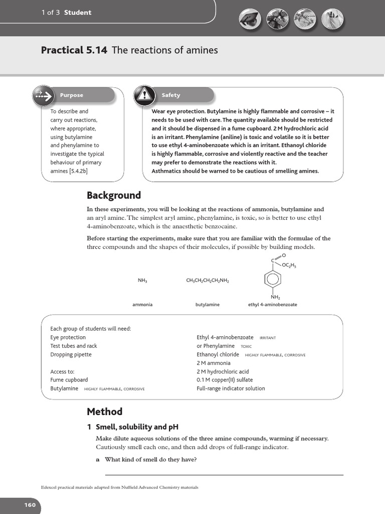 Investigating Reactions of Amines | PDF | Amine | Chemical Reactions