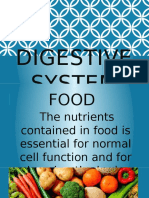 Digestive System