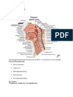 SGD LBM4 THT Tonsilitis