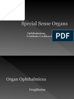 Special Sense Organs Ophthalmicus and Vestibulocochlearis