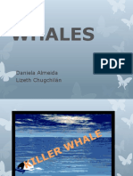 Whales: Daniela Almeida Lizeth Chugchilán