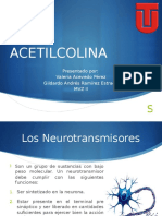 Acetilcolina 