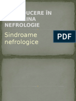 Nefrologie 