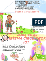 EL SISTEMA CIRCULATORIO.pptx