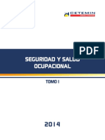 Seguridad y Salud Ocupacional (Tomo I) PDF