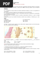 Ficha - Revisões 10º Maio 2016