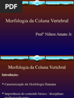 Morfo Da Coluna Vertebral