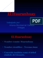 Huaranhuay