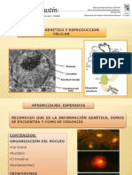 Ppt Herencia y Adn 