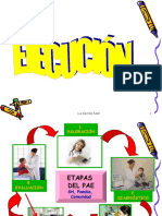Pae Ejecucion PDF