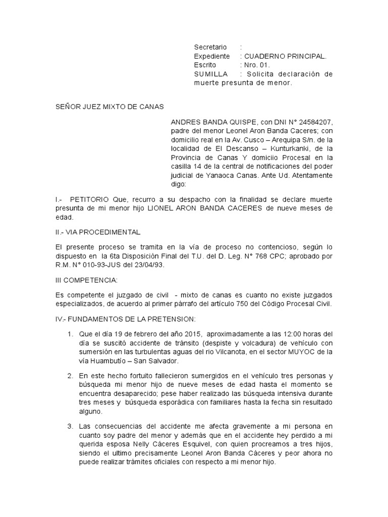 Solicitud de muerte presunta de menor | PDF | Demanda judicial