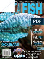 Tropical Fish Hobbyist Magazine - February 2014