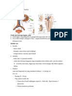 Histologi Sistem Urinaria