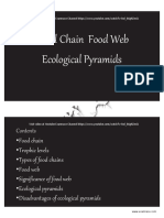 Food Chain Youtube Lecture Handouts