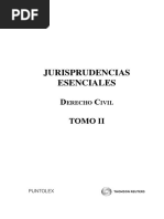 Indice Jurisprudencias Esenciales Tomo 2