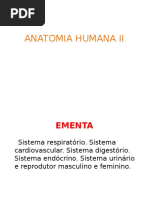 Anatomia - Sistema Respiratório [1217].ppt