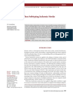 Considerations When Subtyping Ischemic Stroke in Asian Patients