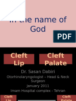 Cleft Lip and Palate Treatment Guide