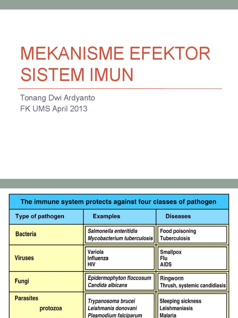 Immune System Effector Mechanisms | PDF | T Helper Cell | Cytotoxic T Cell