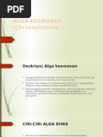 Download Alga Keemasan Chrysophyceae by Muhammad Firmansyah SN316250493 doc pdf