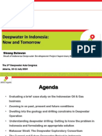 Deepwater Indonesia now and future