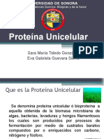 Proteína Unicelular 