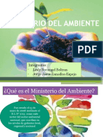 Ministerio Del Ambiente