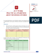 Project Work Practical Awareness About Business Studies