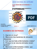 VIROLOGIA VETERINARIA.pptx