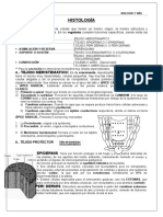 Organos Vegetales 1º Año