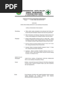 Sop Audit Internal