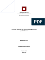 Análisis factibilidad producción energía eléctrica biomasa