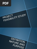 Project Feasibility Study