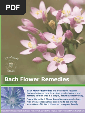 Bach Flower Remedy Info