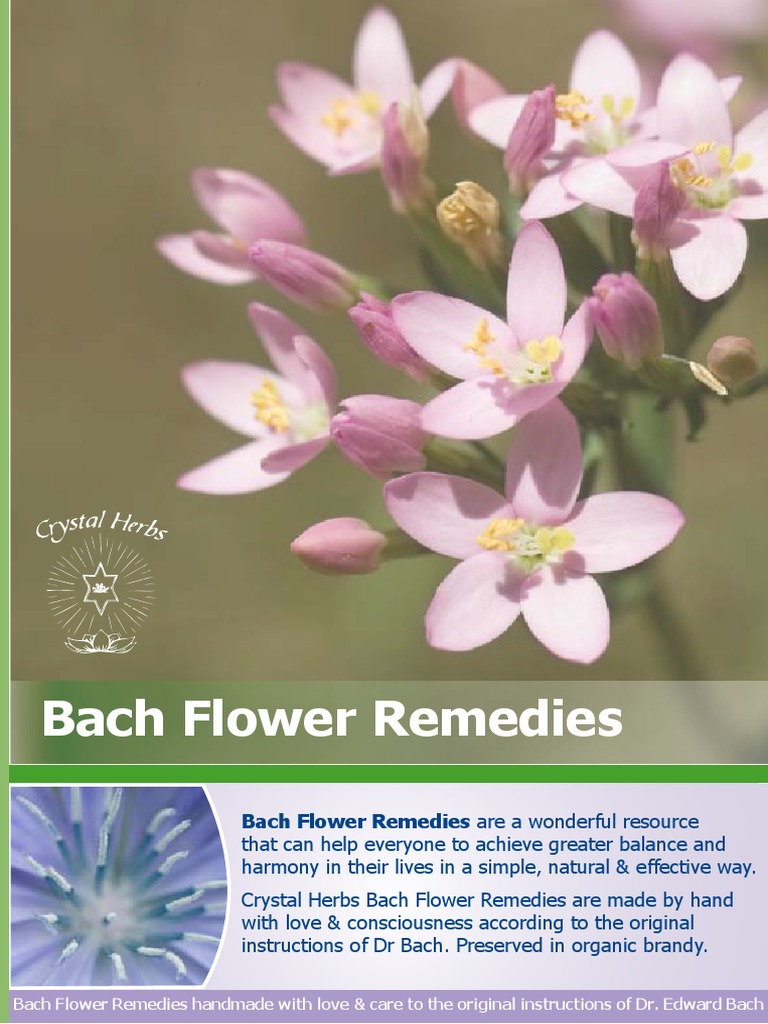 Bach Flower Remedy Info PDF Bach Flower Remedies Grief