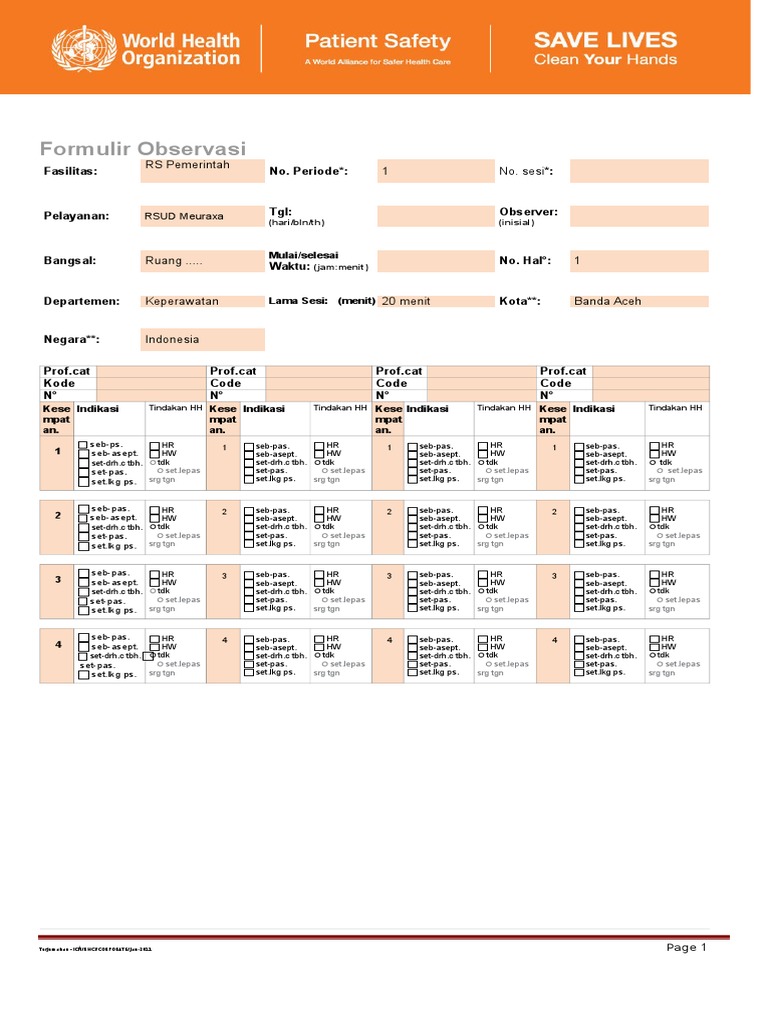 Form Audit HH Who | PDF