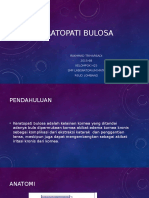 Keratopati Bulosa Referat